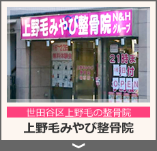 上野毛みやび整骨院